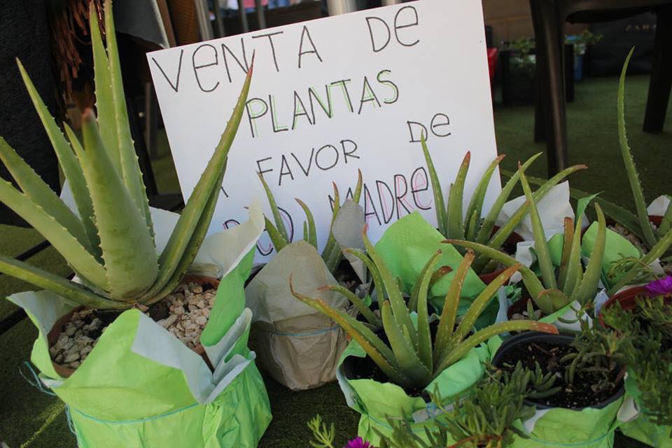 Dia familias valencia colegio octubre 3