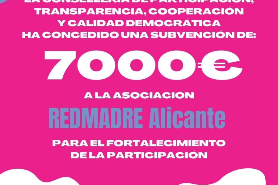 Alicante subvencion