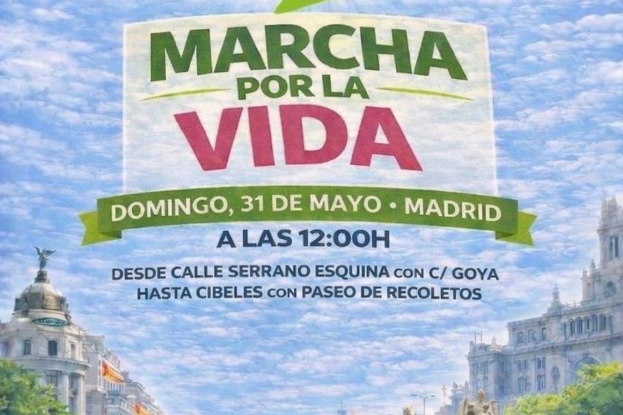 Cartel Sí a la Vida 20262