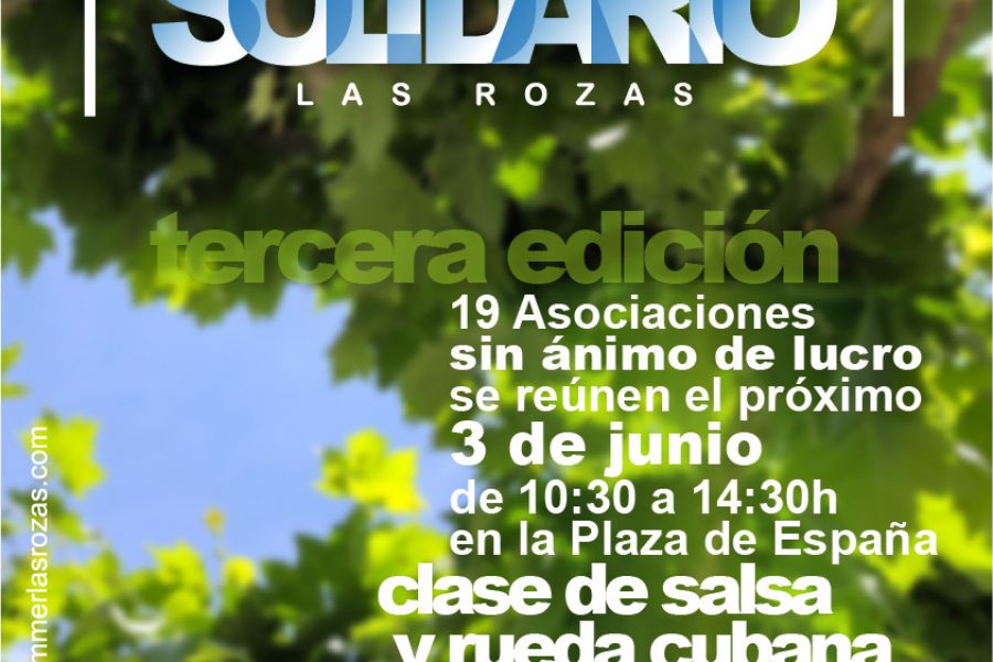 MercadilloSolidario3__CARTEL V