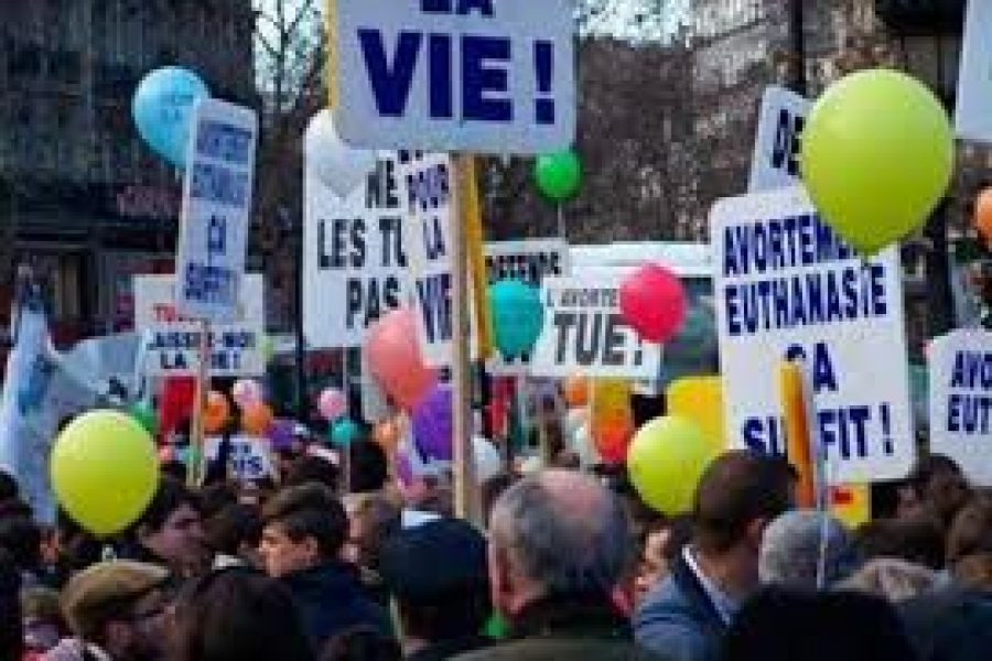 marcha_vida_paris.jpg