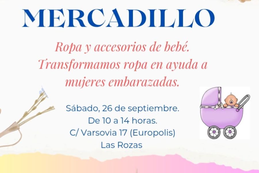 mercadillo 26
