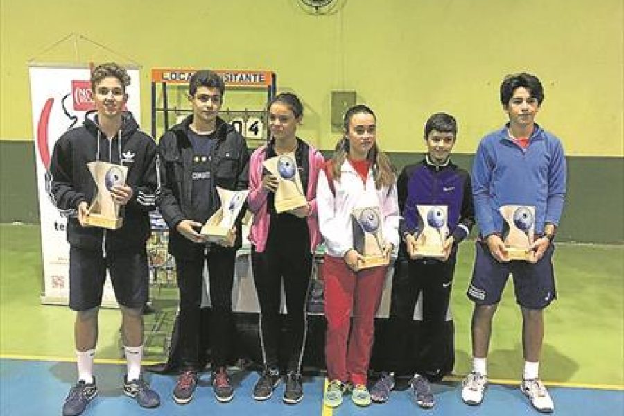 torneo_trujillo_navidad_2016_redmadre_extremadura.jpg